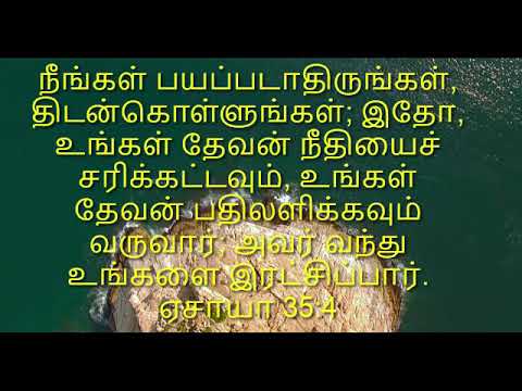 bible in tamil